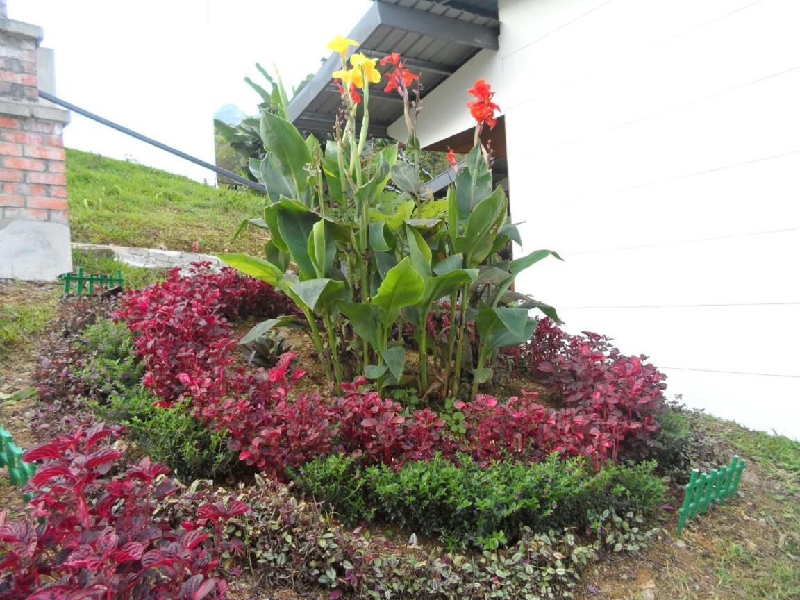 Ayana Holiday Resort Kampong Kundassan Exterior photo